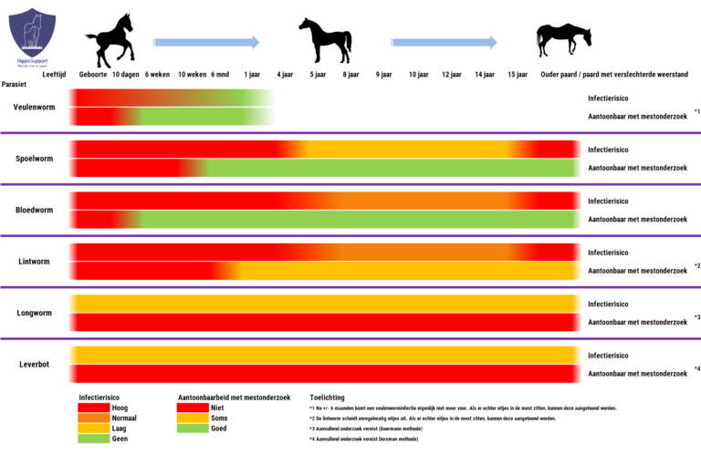 Lees meer over het artikel Parasieten bij paarden