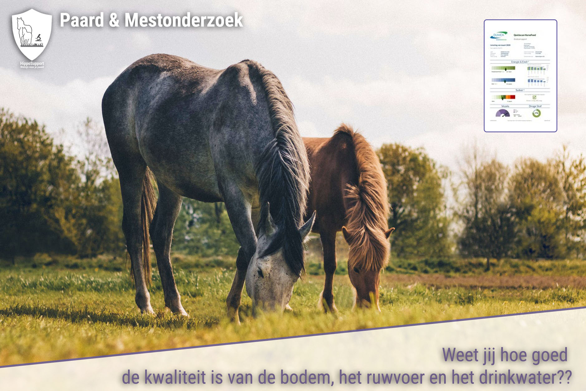 Lees meer over het artikel HORSE FEED QUICKSCAN RUWVOERANALYSE NU BESCHIKBAAR IN ONZE WEBSHOP