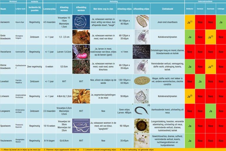 Lees meer over het artikel Welke wormsoorten / parasieten kunnen er allemaal gevonden worden met mestonderzoek?
